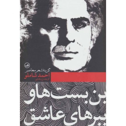 کتاب بن بست ها و ببرهای عاشق اثر احمد شاملو تالیف ع.پاشایی از انتشارات ثالث