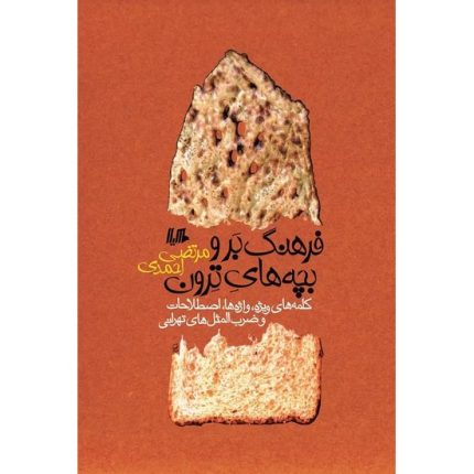 کتاب فرهنگ بر و بچه های ترون اثر مرتضی احمدی از انتشارات هیلا